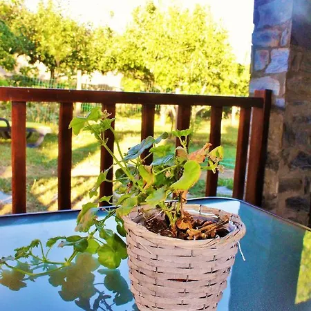 Casa Minha Pantomina Soeira
